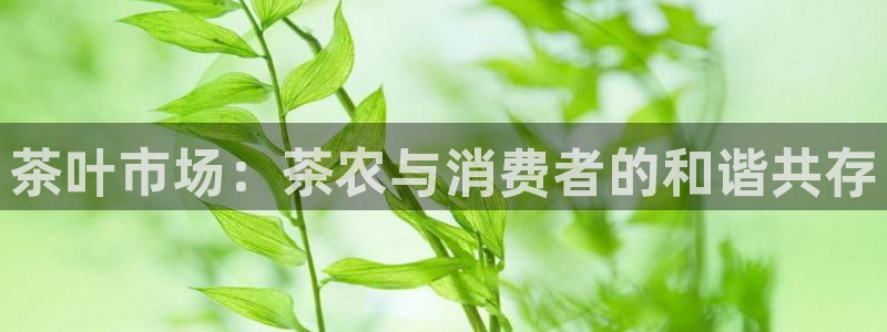 下载彩名堂预测计划软件安卓
