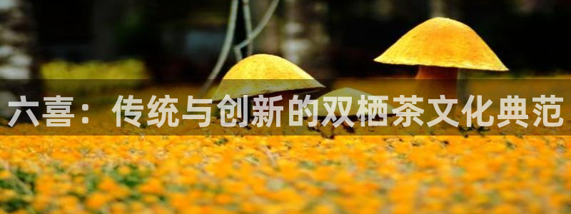 彩名堂免费计划官网5.0版下载链接