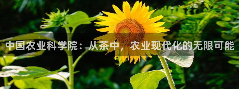 彩名堂最新计划下载地址