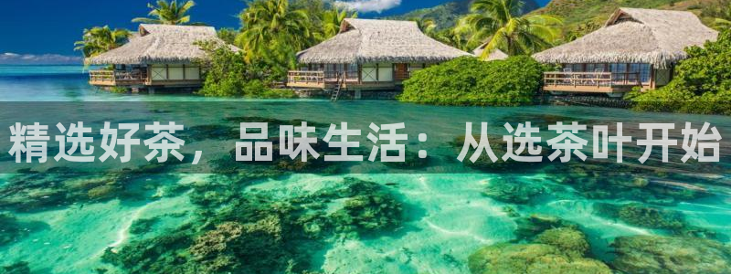 彩名堂免费计划使用方法