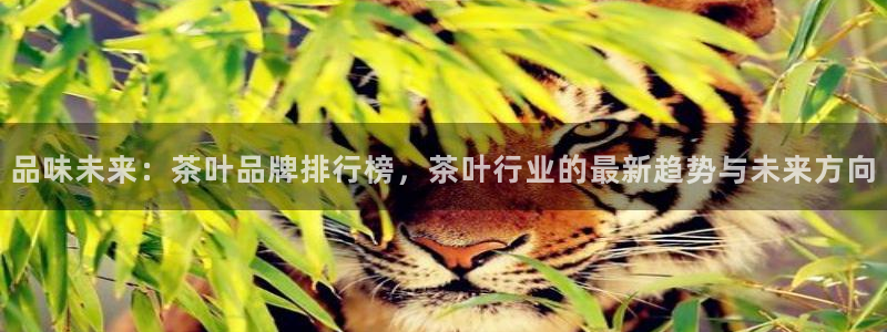 彩名堂app官方网