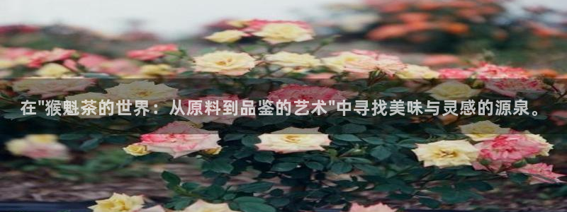 彩名堂到底怎么看,一跟就挂