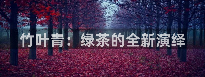 彩名堂计划怎么跟不挂