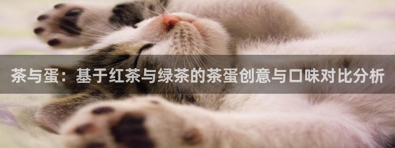 彩名堂全天计划