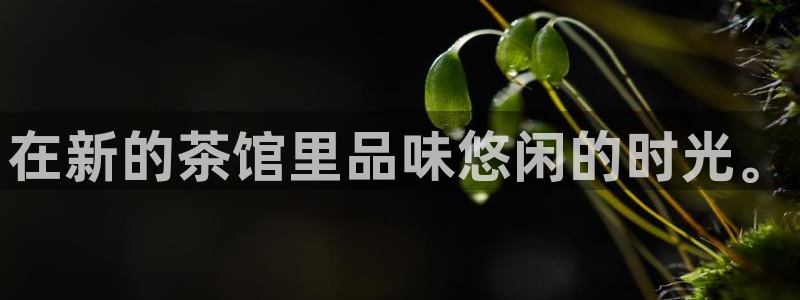 为什么彩名堂今天不能用