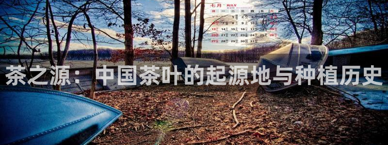 彩名堂免费计划下载