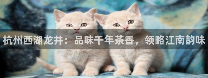 彩名堂使用方法