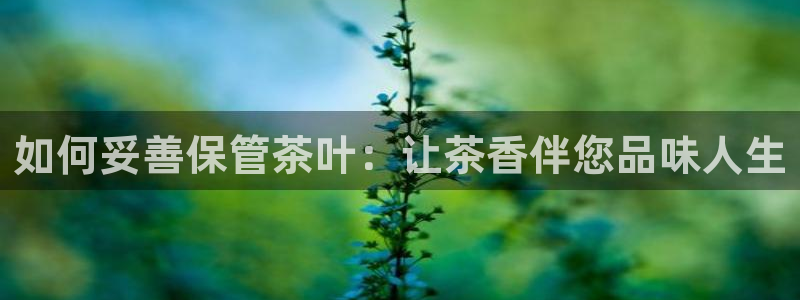 彩名堂官网在线计划怎么不更新了