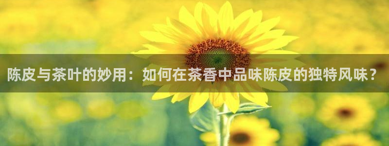 正规彩名堂官网计划
