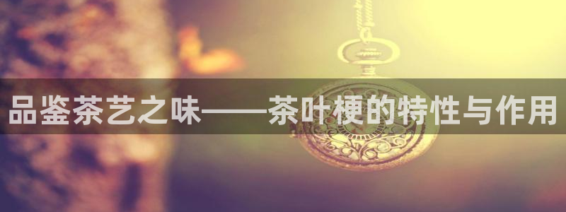 彩名堂免费计划下载