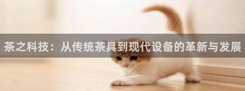 彩名堂预测计划