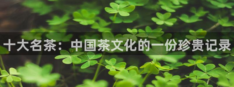 彩名堂平台