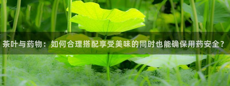 彩名堂预测免费计划