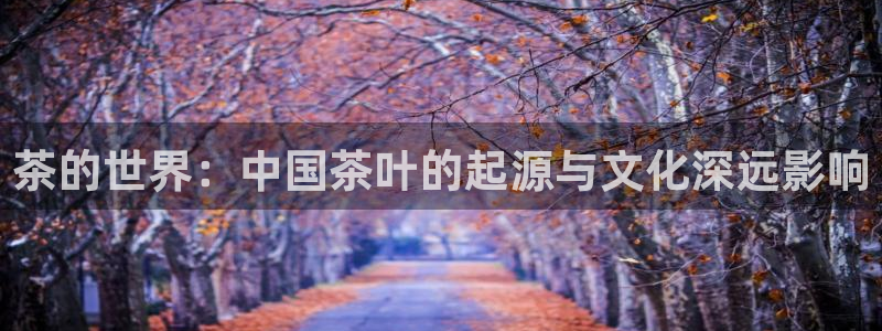 彩名堂改名稻草人了吗知乎