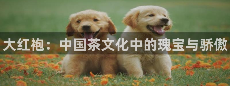 彩名堂苹果客户端怎么下载