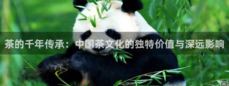 彩名堂为什么突然不能用了