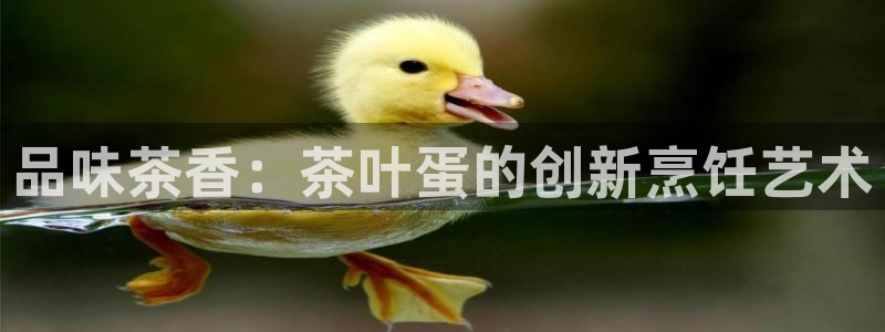 彩名堂是正规的公司吗