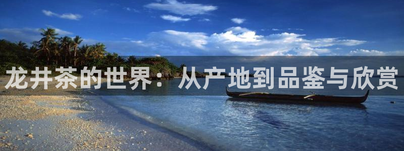 彩名堂怎么用不输