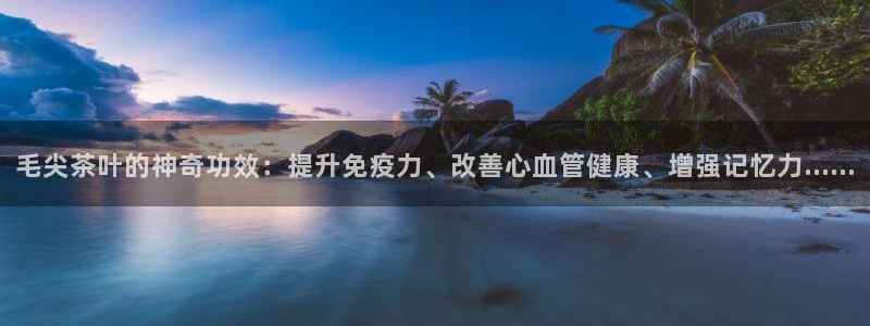 彩名堂4.3