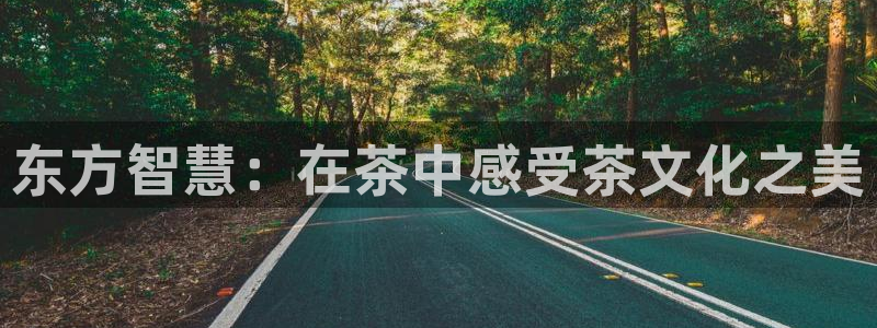 彩名堂加拿大怎么买准确率高