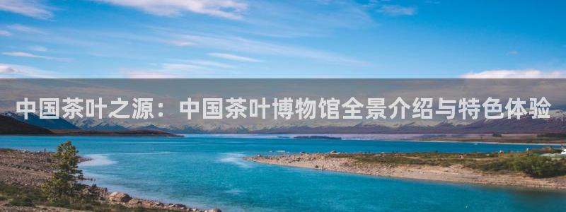 彩名堂人工计划怎么找不到下载了?