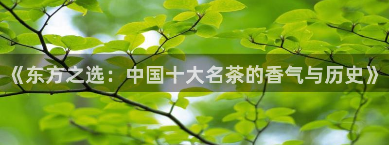 彩名堂手机客户端怎么下载