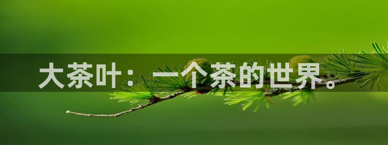 彩名堂预测软件与分析