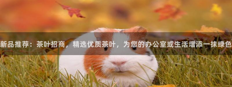彩名堂平台
