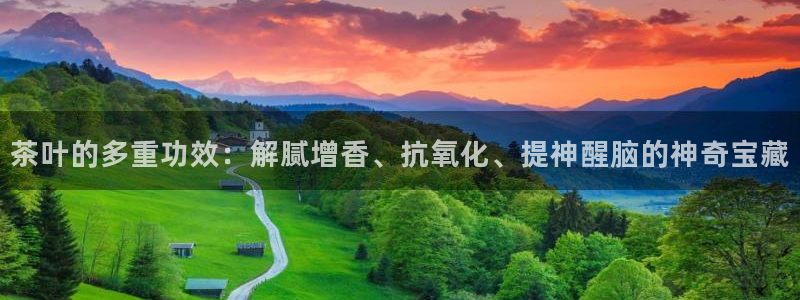彩名堂免费计划官网5.0版下载链接