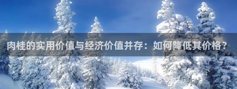 彩名堂全天计划