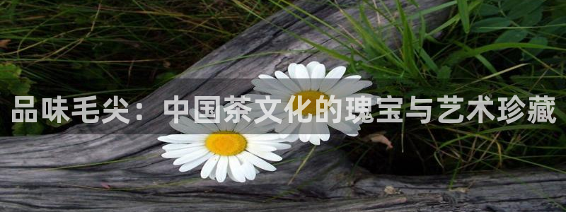 彩名堂官网网页计划