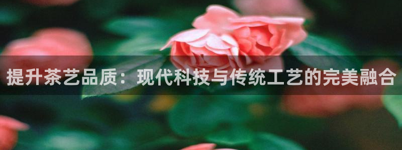 彩名堂怎么打最稳