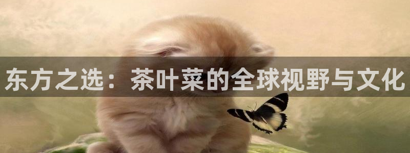 彩名堂平台