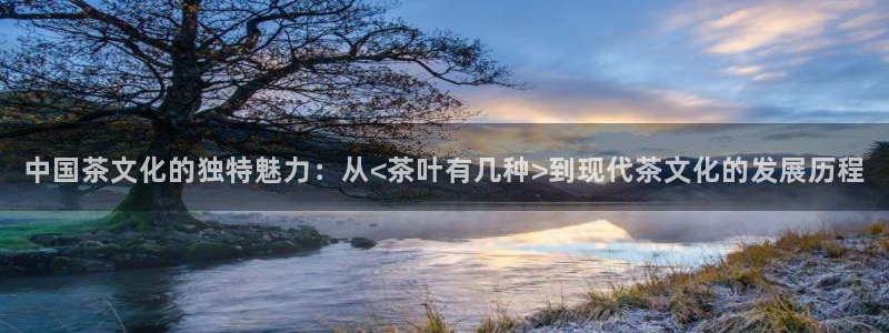 正规彩名堂官网计划01
