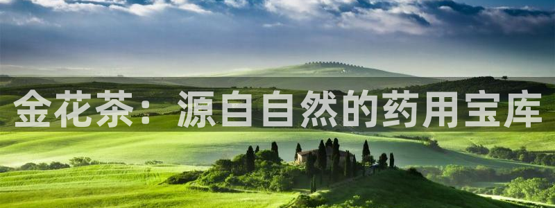 彩名堂计划怎么跟,为什么我一跟就挂