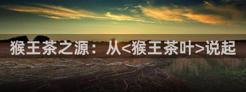 彩名堂双彩网