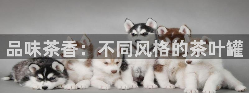 彩名堂是什么