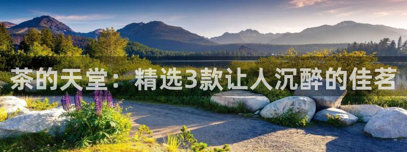 彩名堂app计划官方网站