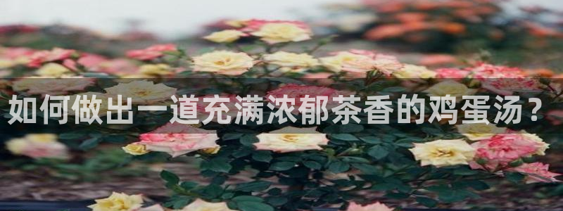 彩名堂免费计划官网5 0