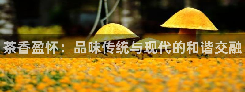 彩名堂拼音怎么拼
