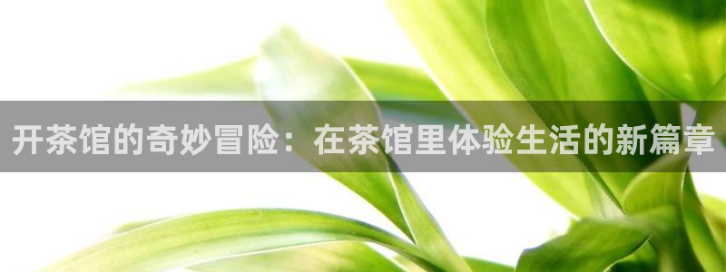 如何进入彩名堂官网更新