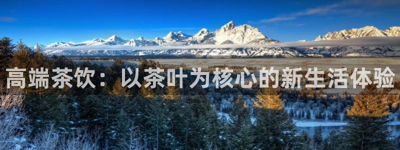 彩名堂怎么用不输