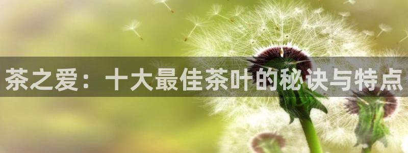 彩名堂预测网站