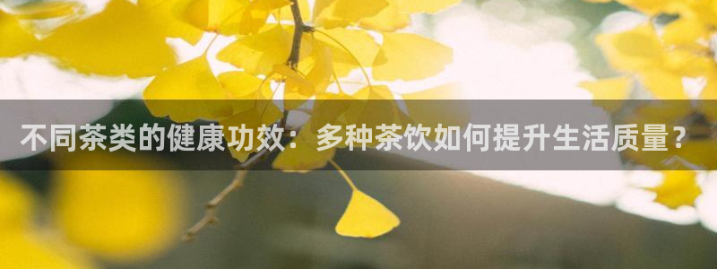 彩名堂怎么不能用了