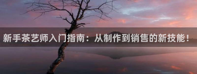 彩名堂免费计划亮点