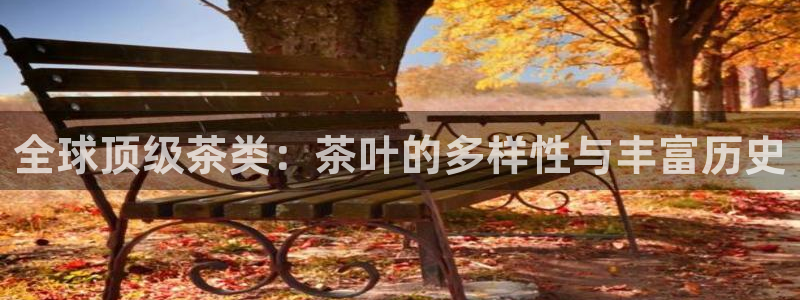 彩名堂5.0!