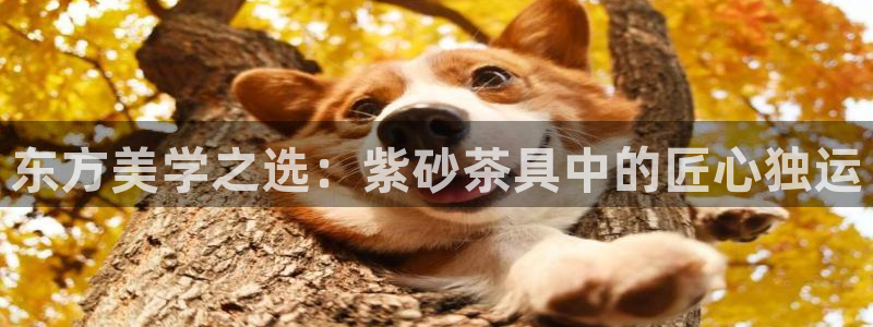 彩名堂客户