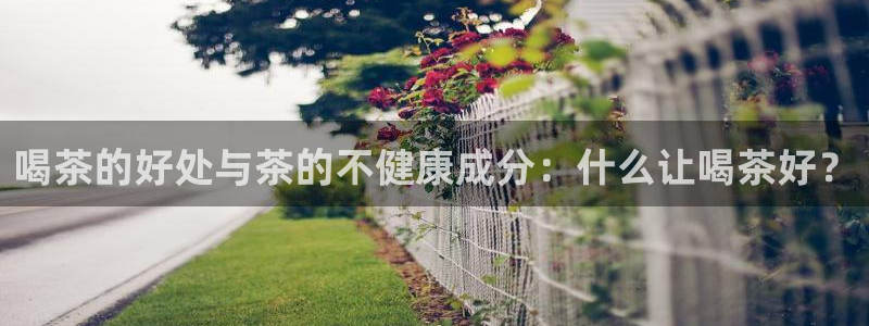 彩名堂为什么打不开