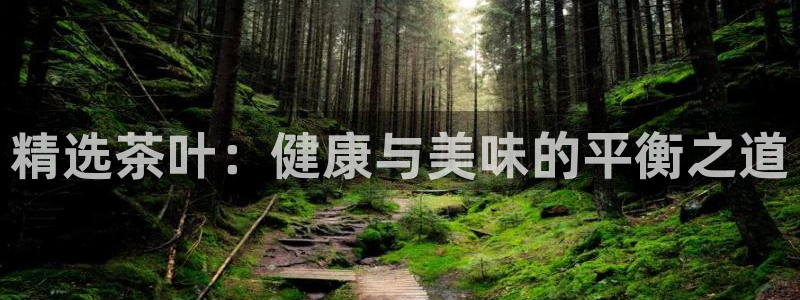下载苹果手机版彩名堂