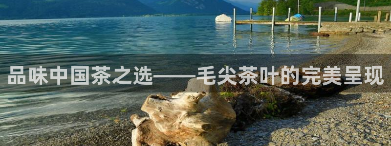 彩名堂加拿大怎么买准确率高